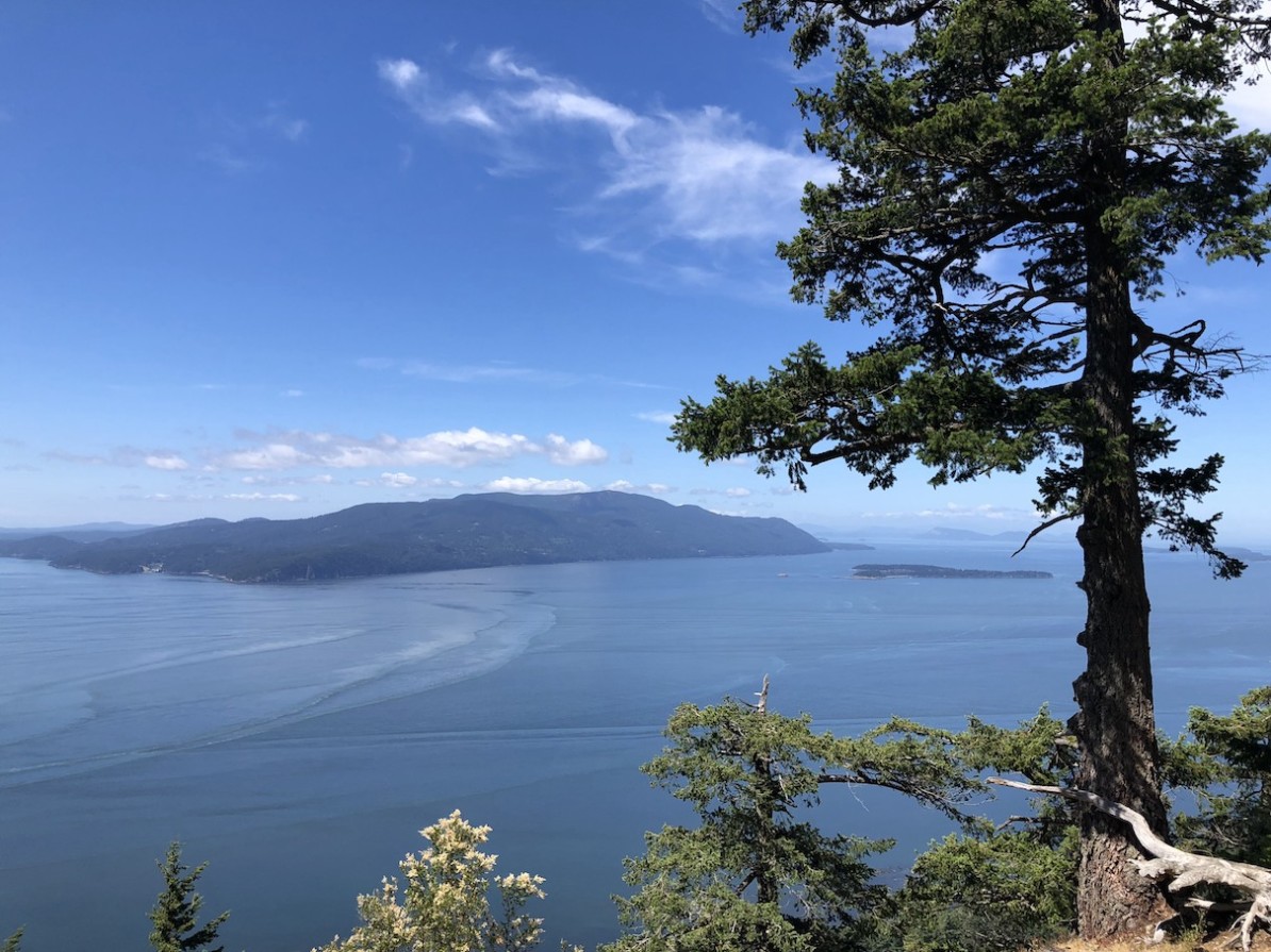 Lummi Island Baker Preserve Overlook View of Surrounding Islands