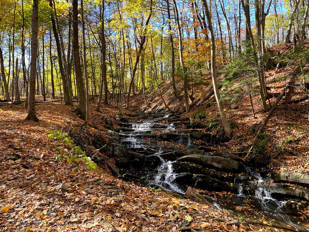 Immersing myself in spaces like this helped to clear my head and gain better perspective on life and business.