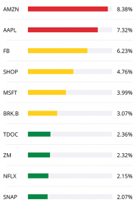 Top 10 Stock Holdings