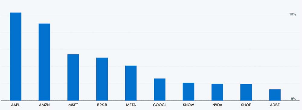 Top 10 holdings