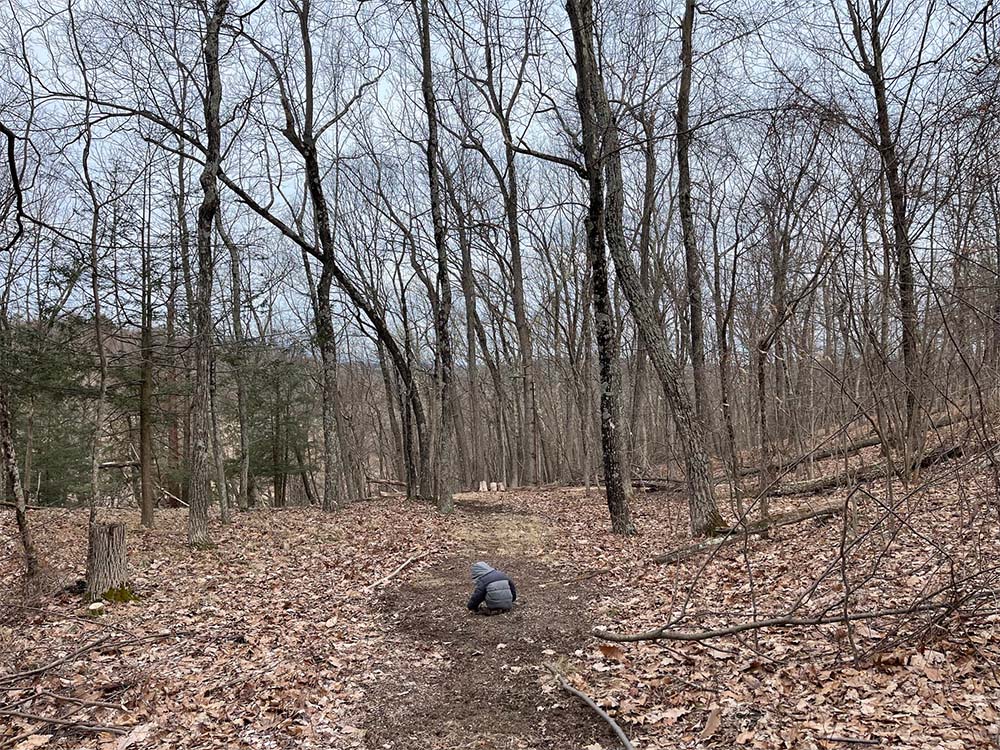 Hiking in the back woods.