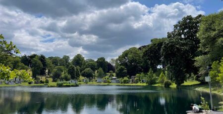 Definition of success (Green-Wood Cemetery lake)
