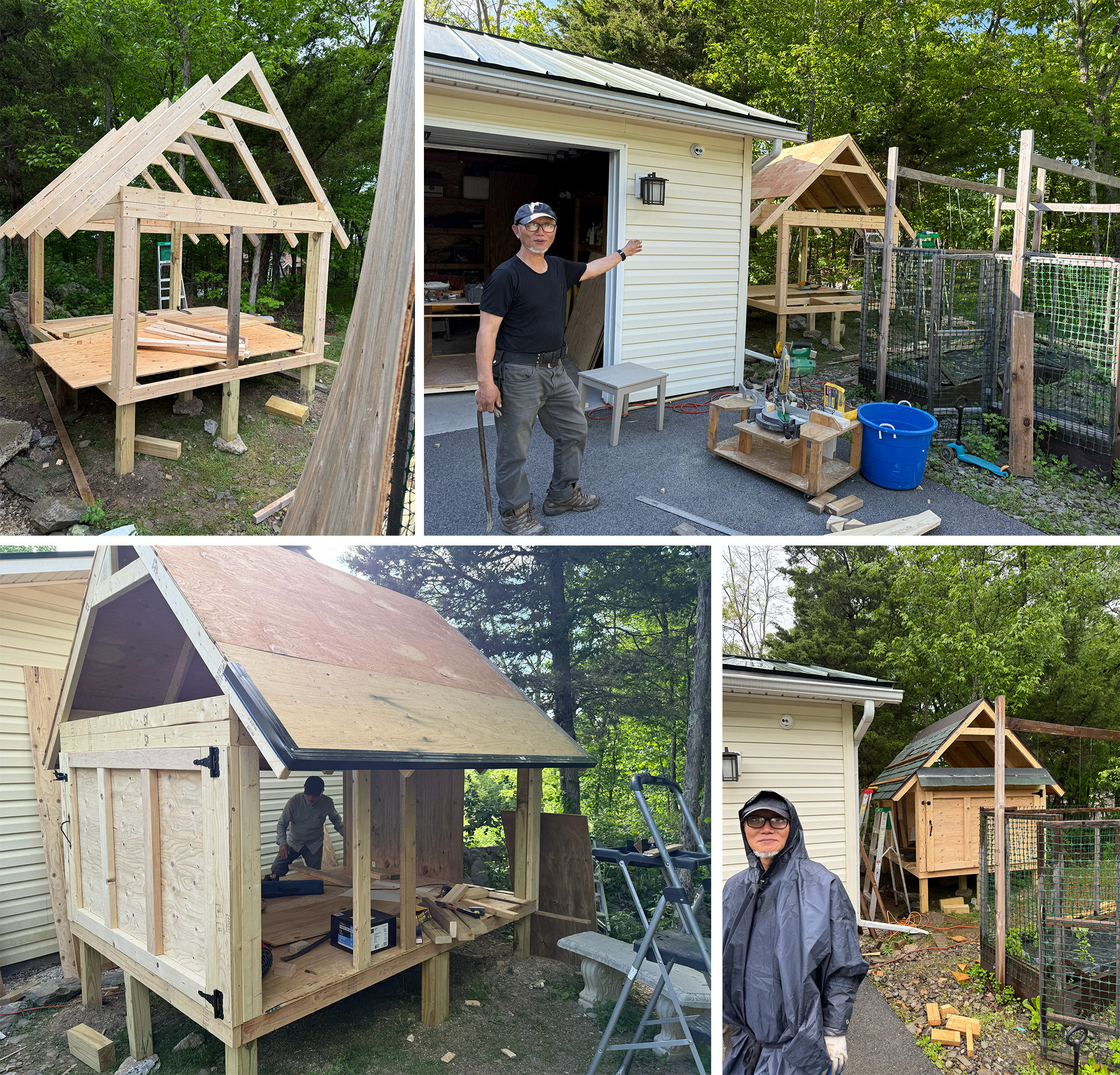 chicken coop dad building