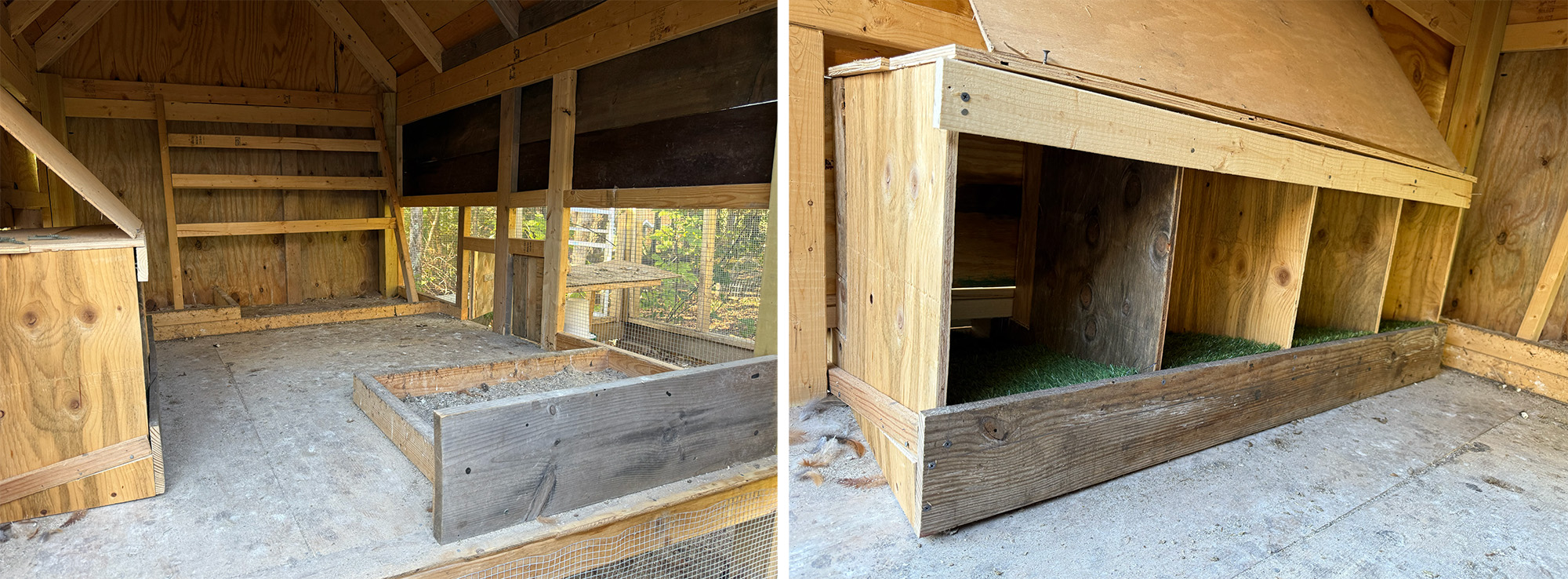 chicken coop interior